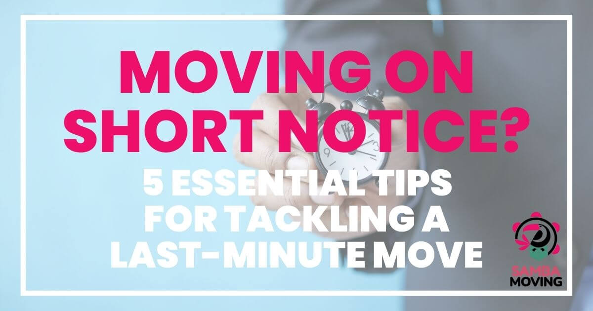 moving on short notice? 5 essential tips for tackling a last-minute move