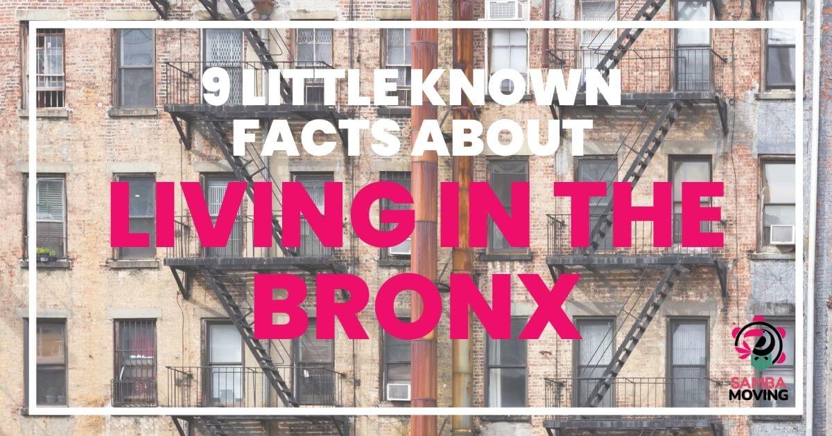 9 little known facts about living in the bronx